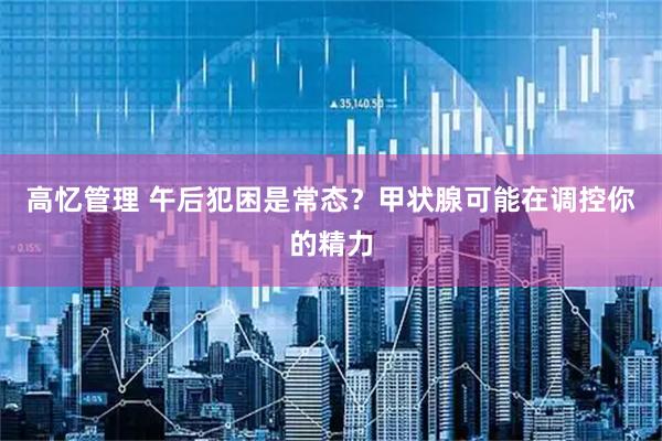 高忆管理 午后犯困是常态？甲状腺可能在调控你的精力