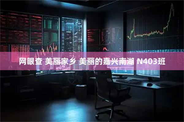 网眼查 美丽家乡 美丽的嘉兴南湖 N403班