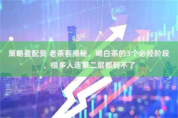 策略盈配资 老茶客揭秘，喝白茶的3个必经阶段，很多人连第二层都到不了