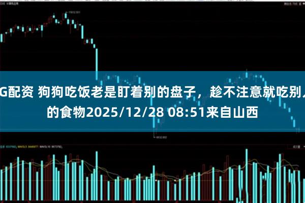 3G配资 狗狗吃饭老是盯着别的盘子，趁不注意就吃别人的食物2025/12/28 08:51来自山西